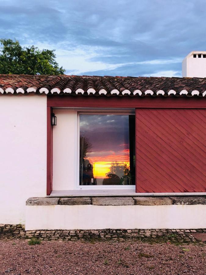 Monte Da Boavista - Country Family House Villa Alter do Chão Exteriör bild