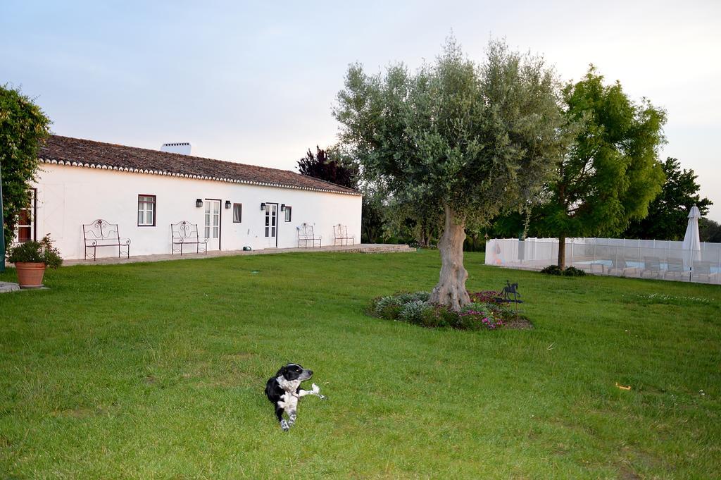 Monte Da Boavista - Country Family House Villa Alter do Chão Exteriör bild